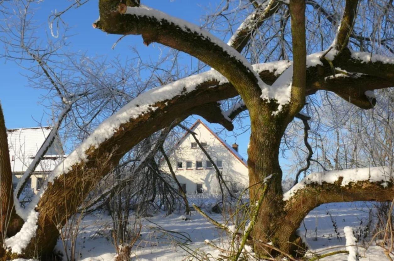 Kulturgutleben Boutiquehotel Seminarhaus Mollenbeck Exterior foto